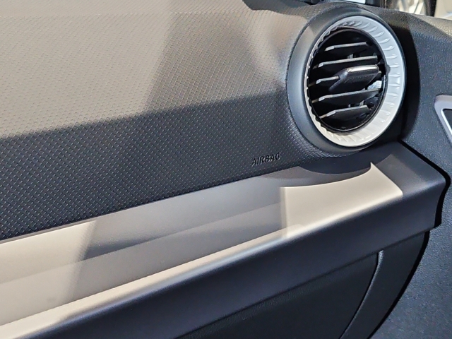 Ibiza Xcellence 1,0 TSI*Navi*RüKa*LED*SHZ*Temp*