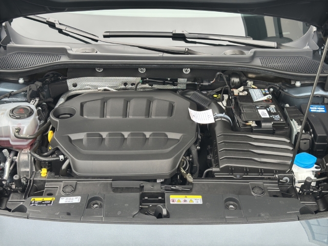 Formentor 2.0 TSI VZ*DSG*Navi*LED*RüKa*SHZ*ACC*