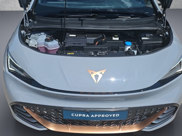 Born 62 kWh 170 kW*LED*ACC*StandHZG*