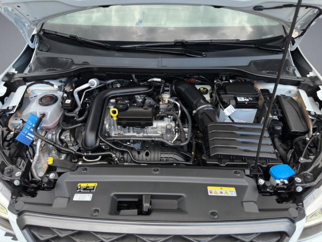Arona FR 1.0 TSI DSG*Navi*LED*SHZ*ACC*RüKa