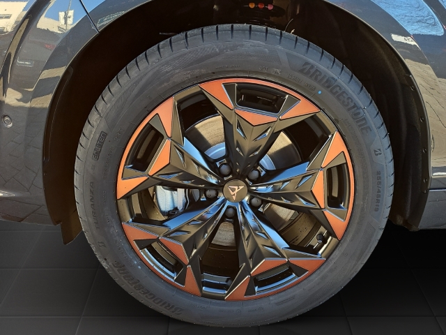 Terramar 2.0 TSI  4Drive *DSG*Navi*LED*AHK*RüKa*SHZ*