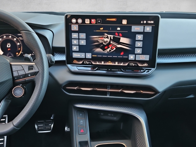 Terramar 2.0 TSI  4Drive *DSG*Navi*LED*AHK*RüKa*SHZ*