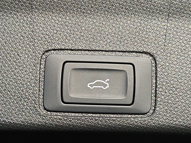 Terramar 2.0 TSI  4Drive *DSG*Navi*LED*AHK*RüKa*SHZ*