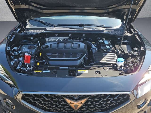 Formentor VZ 2.0 TSI DSG*Navi*ACC*LED*RüKa*Pano*