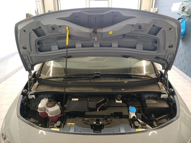 Born 62 kWh*Navi*PDC*LED*