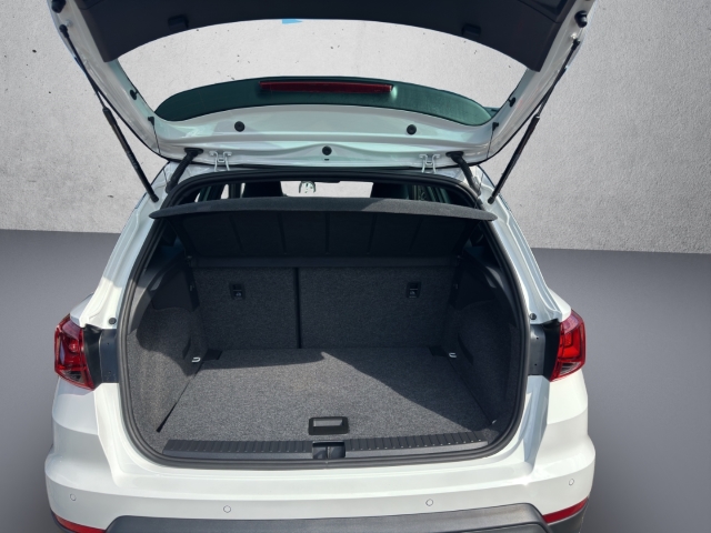 Arona 1.0 TSI FR *Navi*LED*ACC*RüKa*SHZ*