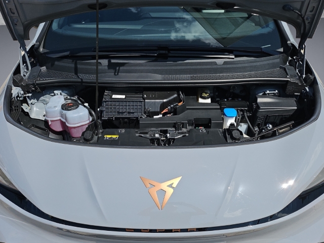 Born 62 kWh 170 kW*LED*StandHZG*SHZ*Full Link