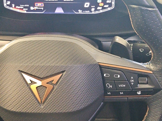 Formentor 1.5 TSI DSG*FullLinkI*LED*RüKa*SHZ*