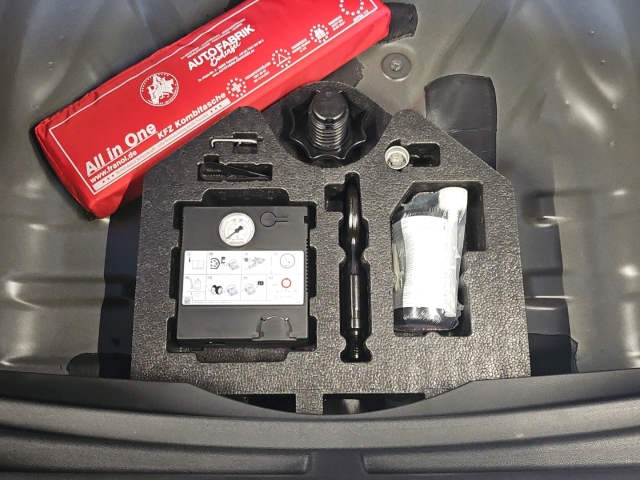 Formentor 1.5 TSI DSG*FullLinkI*LED*RüKa*SHZ*