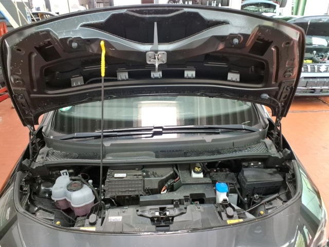 Born 62 kWh*Navi*LED*ACC*RüKa*SHZ*