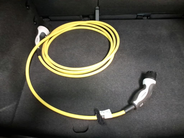 Born 62 kWh*Navi*LED*ACC*RüKa*SHZ*