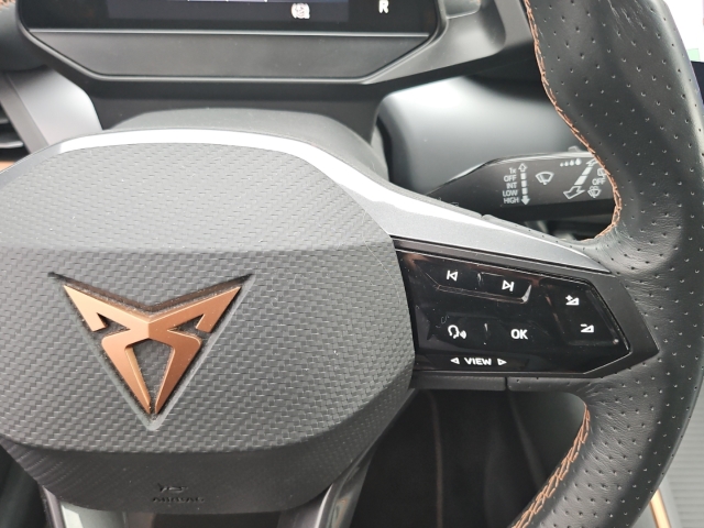 Born 62 kWh*Navi*LED*RüKa*ACC*SHZ*