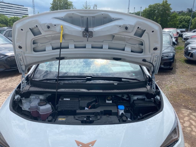 Born 62 kWh*Navi*LED*ACC*RüKa*SHZ*