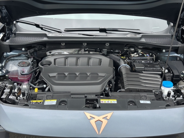 Formentor 2.0 TSI*4Dr.*DSG*Navi*LED*RüKa*SHZ*AHK*