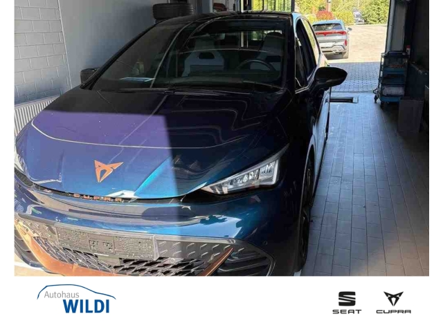 Born 62 kWh Dinamica*Navi*LED*SHZ*RüKa*ACC*