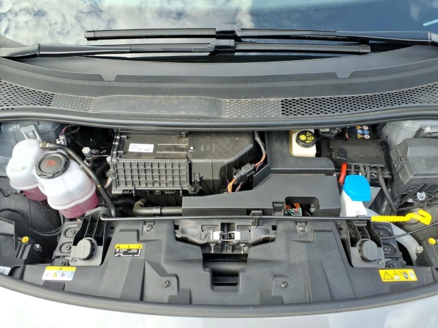 Born 62 kWh Dynamic*Navi*LED*ACC*RüKa*SHZ*