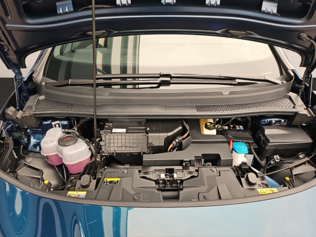 Born 170 kW Edition Dynamic