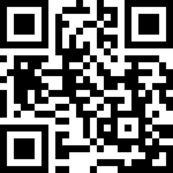 QR-Code Riedstraße