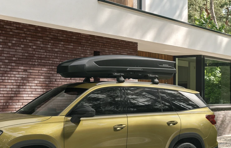 Dachbox-512-l