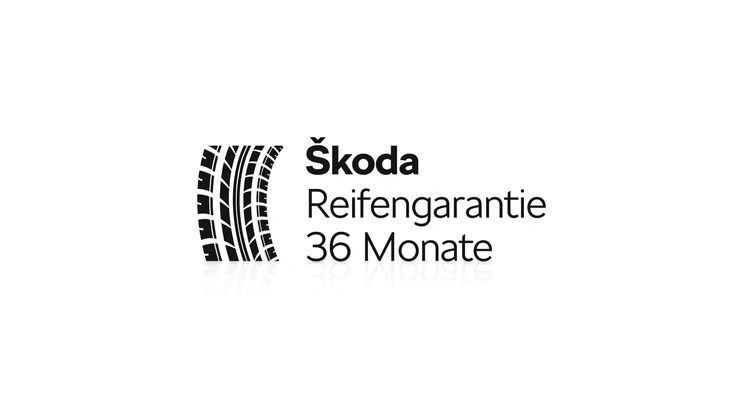 36-Monate