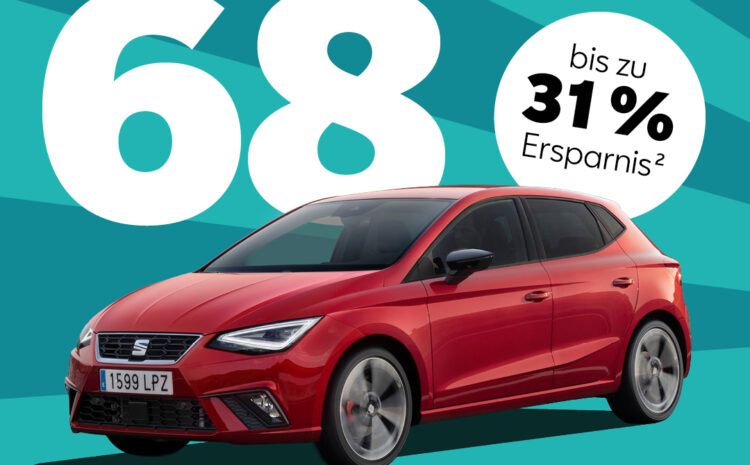  Seat Ibiza Lageraktion
