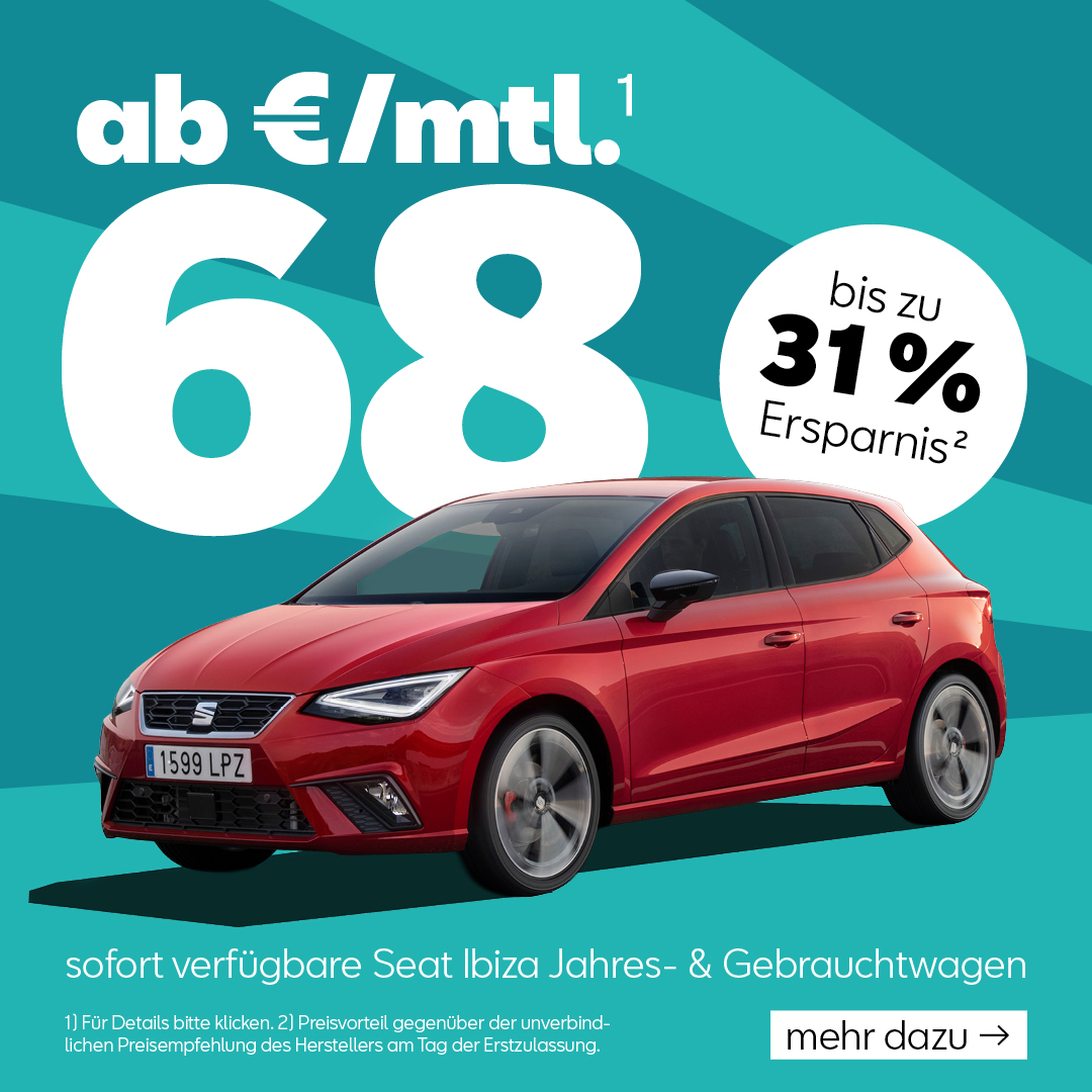 BEITRAG Seat Ibiza Lagerwagen